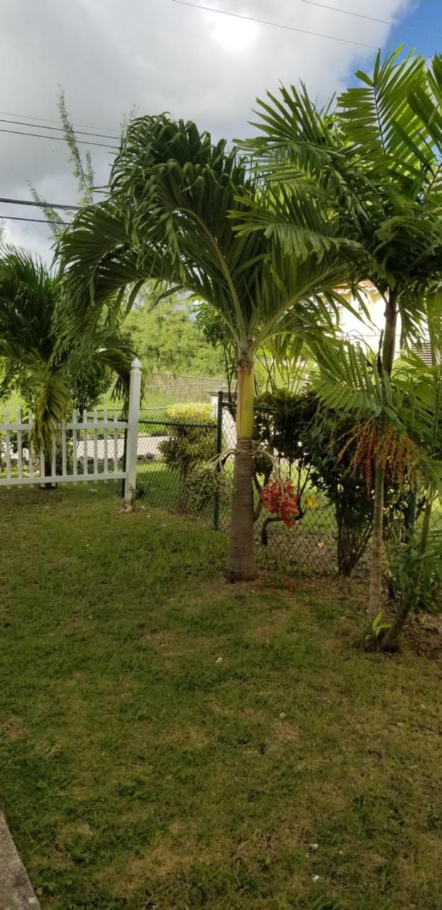 Cynson Villa Holiday Accommodations Christ Church Luaran gambar